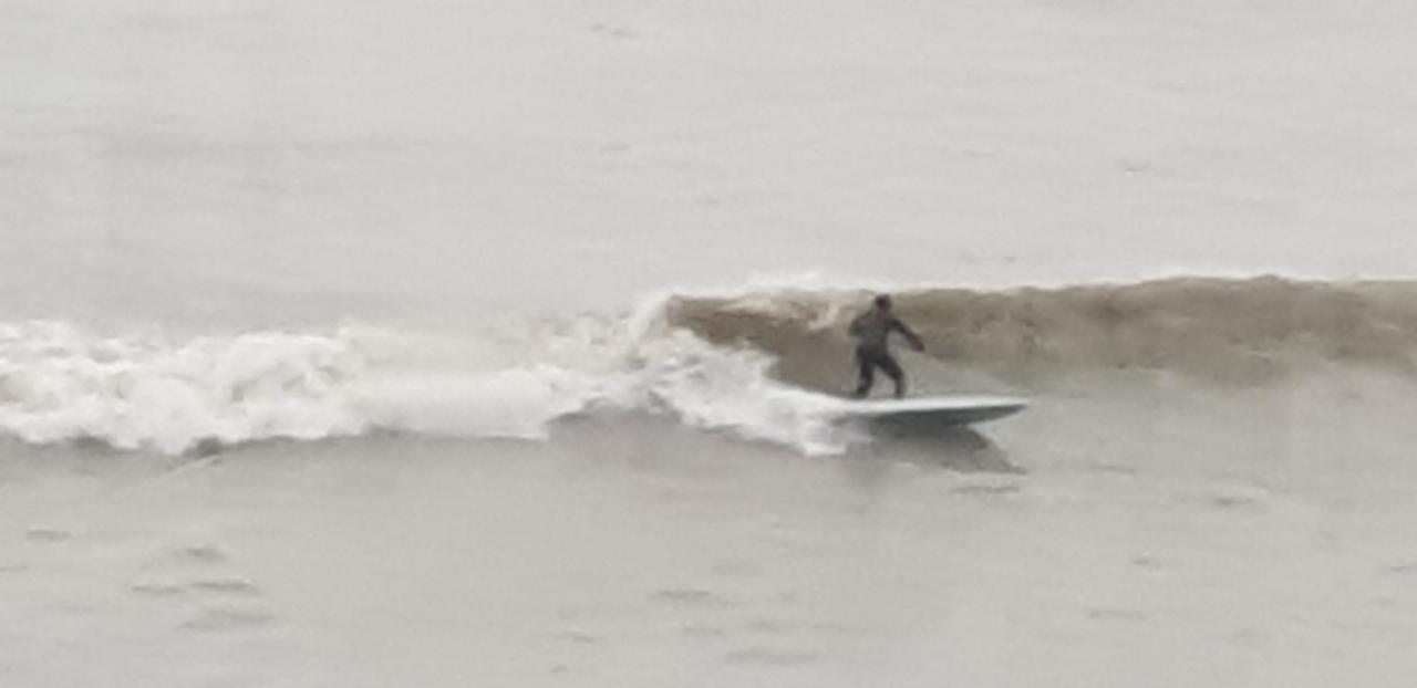 The Sup Shack Wellington Inn New Quay  Luaran gambar